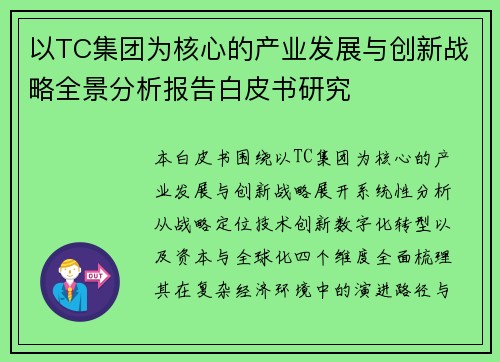 以TC集团为核心的产业发展与创新战略全景分析报告白皮书研究