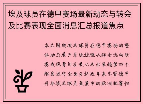 埃及球员在德甲赛场最新动态与转会及比赛表现全面消息汇总报道焦点